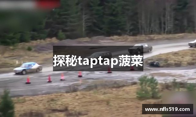 探秘taptap菠菜